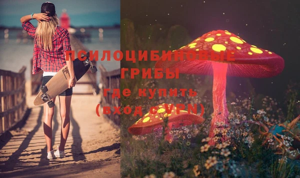 МДПВ Белокуриха