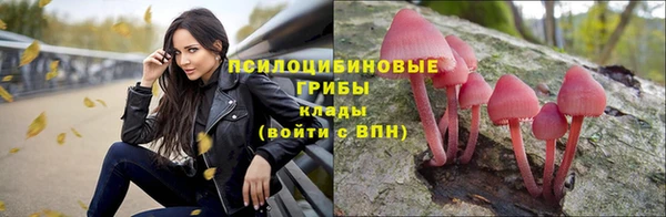 МДПВ Белокуриха