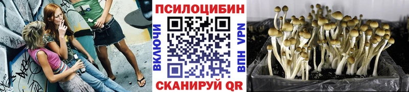 Галлюциногенные грибы Cubensis сколько стоит Крым